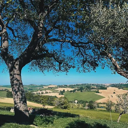 Casa Caminate - Oliveto